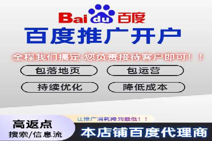SEM推广策略如何制定——以某电商平台的成功案例为例